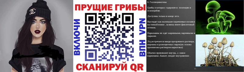 Псилоцибиновые грибы мицелий где купить наркотик hydra ссылка Ленинск-Кузнецкий
